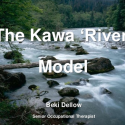 The Kawa ‘River’ Model