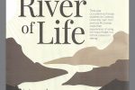 Kawa Model: The River of Life